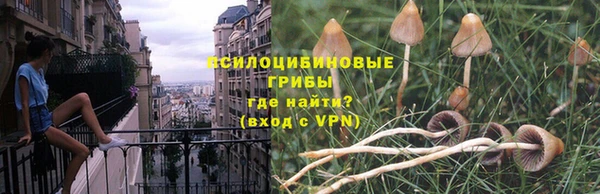 spice Армянск