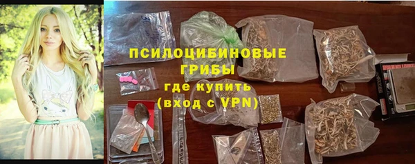 прущие крисы Арсеньев