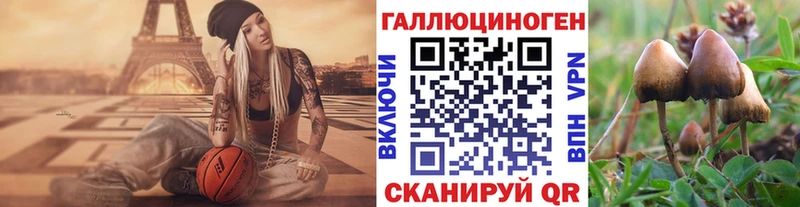 Псилоцибиновые грибы GOLDEN TEACHER  Усть-Лабинск 
