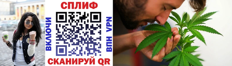МАРИХУАНА планчик  MEGA tor  Усть-Лабинск  купить  